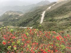 -广东天露山旅游度假区