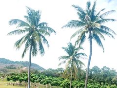 -三亚南山文化旅游区