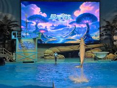 -海合安武汉极地海洋公园