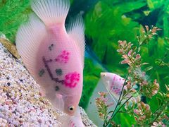 -常州海昌海洋探索馆