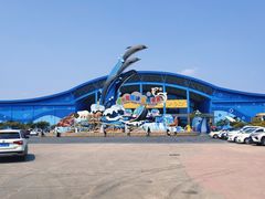 -泉城欧乐堡海洋极地世界