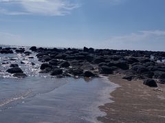 -硇洲岛旅游区