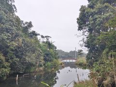 -海南热带雨林国家公园吊罗山景区