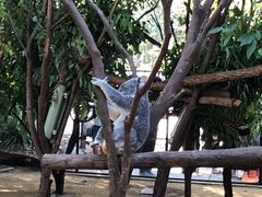 -可伦宾野生动物保护区
