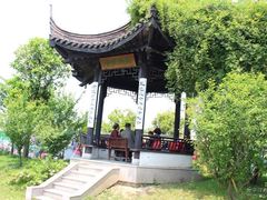 -鹅湖玫瑰文化园