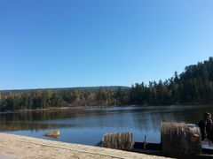 景点-五营红松林海景区