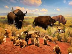 -陕西自然博物馆