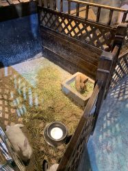 -酷嗒动物文化乐园(cutezoo西溪乐天城店)