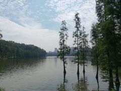 -三水森林公园