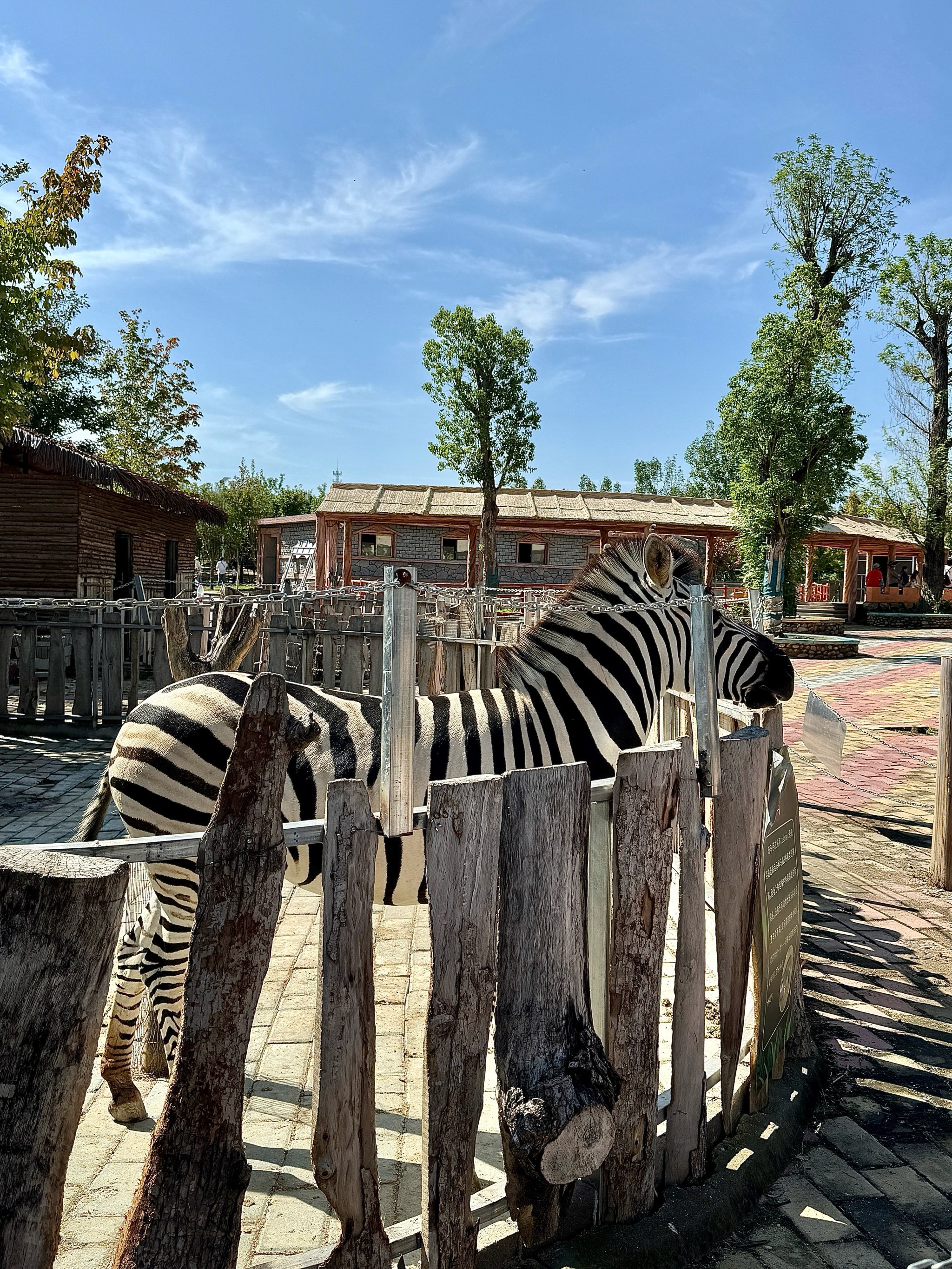 南阳这个野生动物园也太好玩了吧!