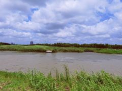 -春花秋色城市公园