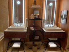 -拉斯维加斯永利酒店