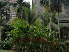 -亚马逊丛林水乐园