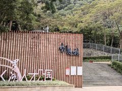 -银湖山郊野公园-相思林