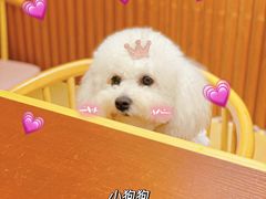 -蟹田居·活蟹料理(东城店)