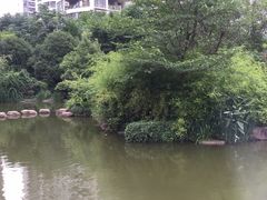 -新湖明珠城