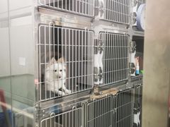 -宠福鑫康馨动物医院·骨科·眼科