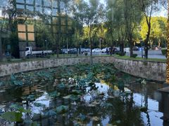 -绍兴鉴湖君澜大酒店