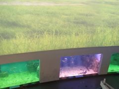 -上海长江河口科技馆