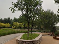 -东郊湿地公园