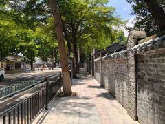 -长洲岛