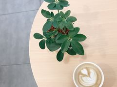 -Onirii Coffee(长乐路店)