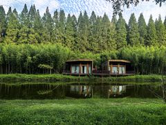 -黄海国家森林公园