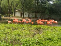 -石家庄市动物园