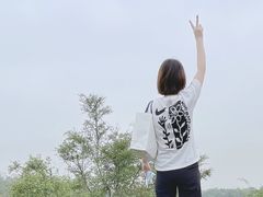 -巢湖姥山岛