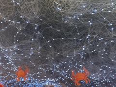 -徐记小怪兽肉蟹煲(中央大街店)