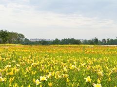 -汉长安城未央宫国家考古遗址公园