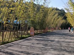 -婺源月亮湾