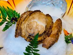 -蝶园·装修中(BFC外滩金融中心店)