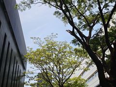 -三亚太阳湾柏悦酒店