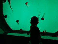 -沈阳海洋探索中心