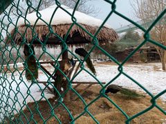 -泗洪洪泽湖湿地景区