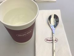 -哈根达斯(天河城店)