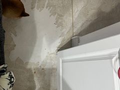 -阿水大杯茶(曲成巷店)