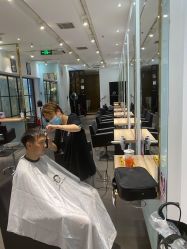 -东方麒麟·潘多拉SALON