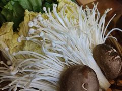 -同仁四季椰子鸡(宝安壹方城店)