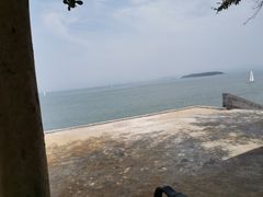 -七鲜渔港美食餐厅(巽寮湾海景店)