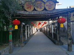 -呀路古热带植物园