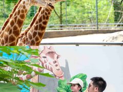 -安吉龙王山峡谷漂流