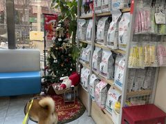 -美联众合爱康动物医院•复杂内科•肿瘤科•牙科•腔镜诊疗中心