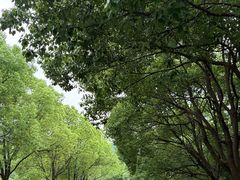 -南京市江宁方山