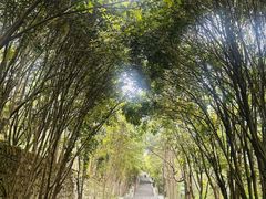 -武当山风景区