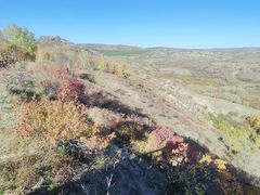 -塞罕坝国家级自然保护区