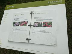 -云溪植物园