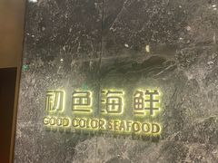 -初色海鲜自助(朝阳北路店)