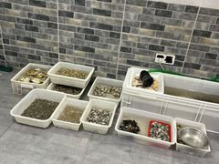 -阿杰臻选海鲜饭店(普陀山店)